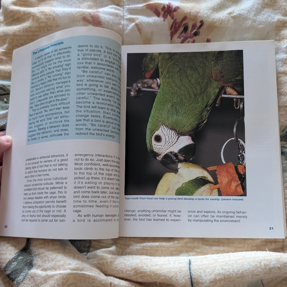 Set Of Three Parrot Training Books - Picture 5 of 8